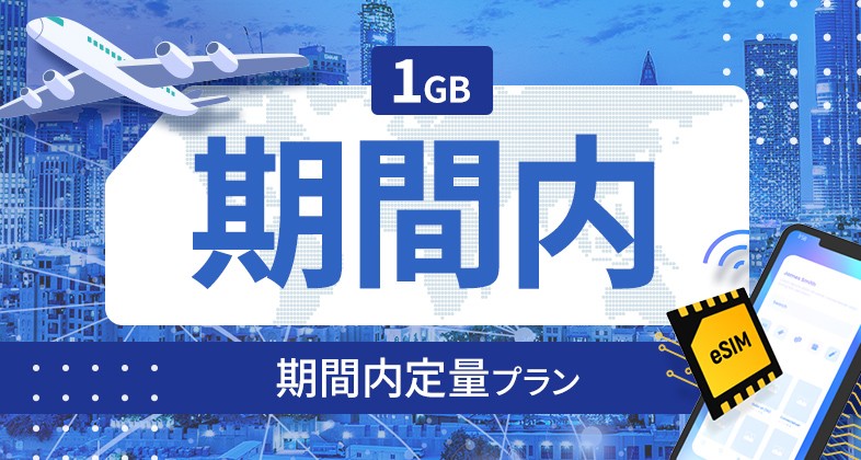 マダガスカル 1GB / 期間内